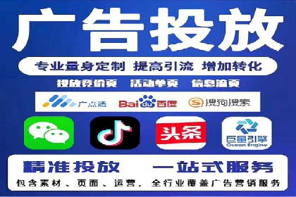 大型企业SEM外包实战案例
